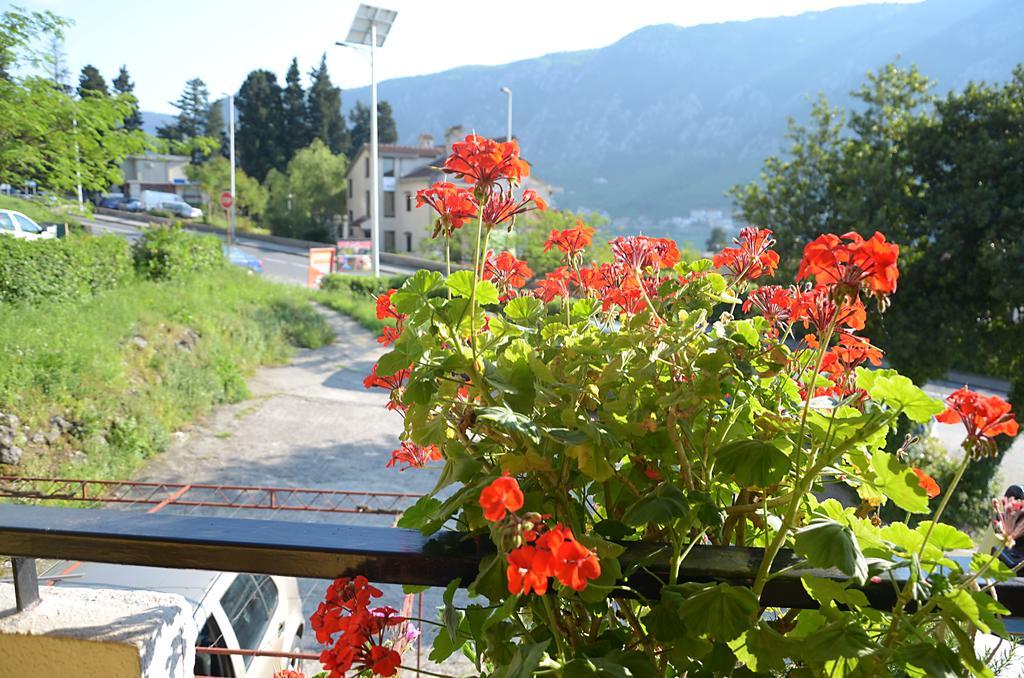 Apartment Luka Kotor Extérieur photo